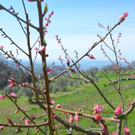 Casa Franceschini Villa Poggio Mirteto Eksteriør bilde