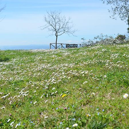 Casa Franceschini Villa Poggio Mirteto Eksteriør bilde