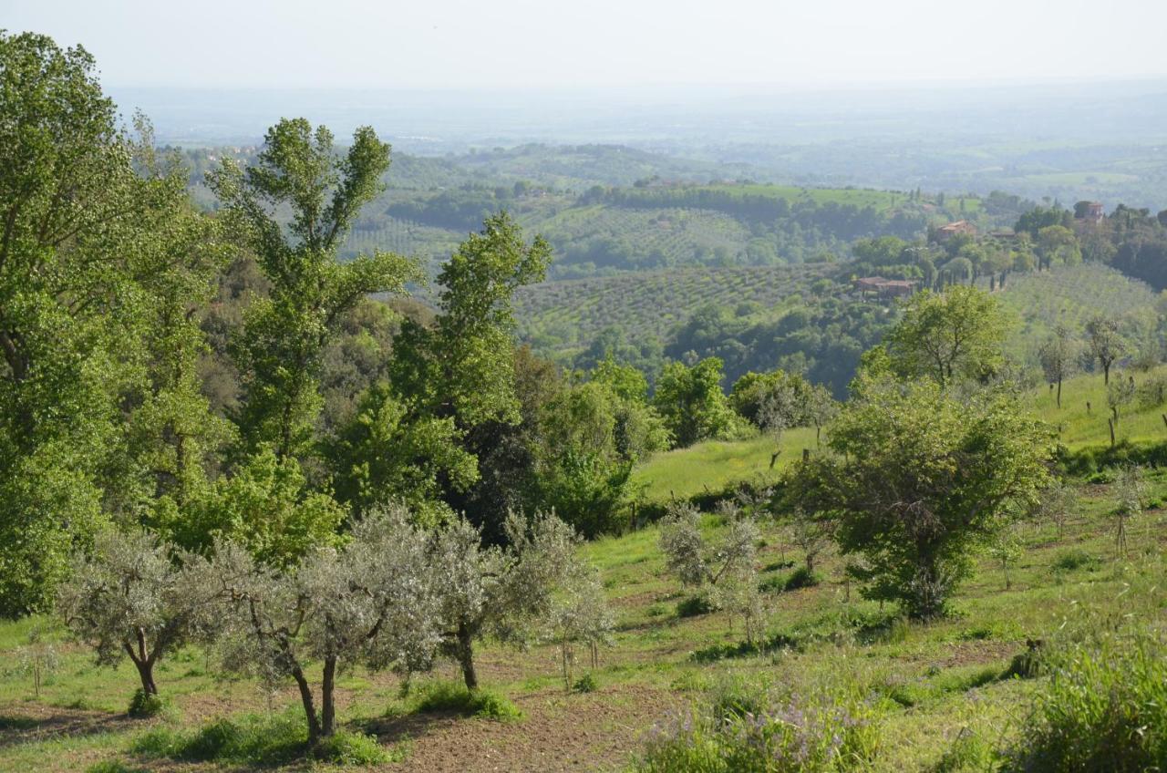 Casa Franceschini Villa Poggio Mirteto Eksteriør bilde