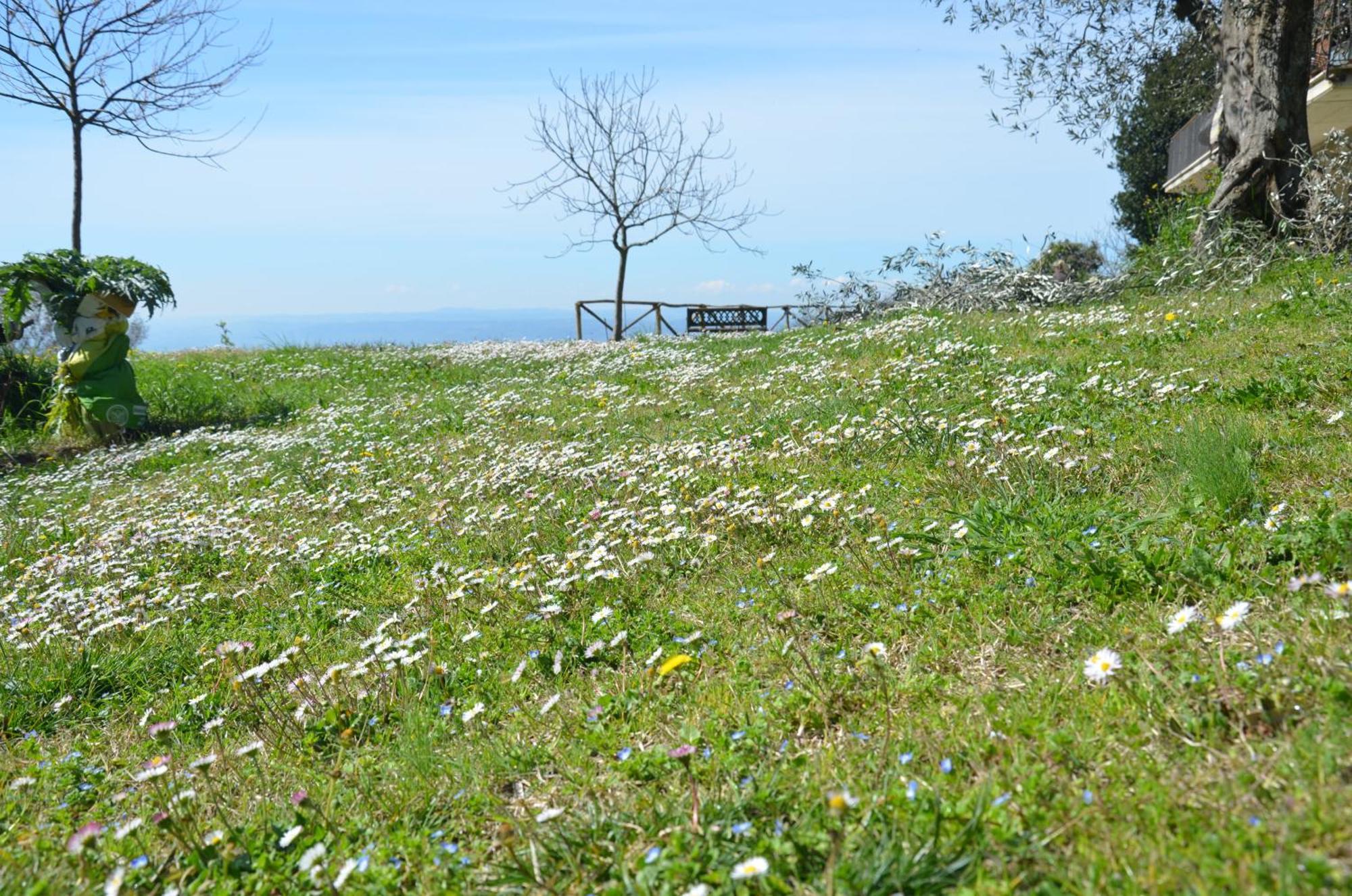 Casa Franceschini Villa Poggio Mirteto Eksteriør bilde